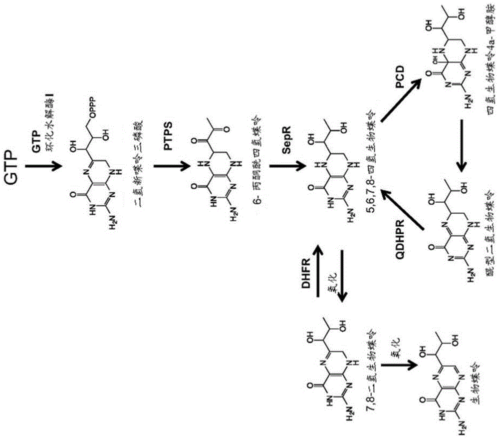 产生吗啡喃生物碱及衍生物的方法与流程