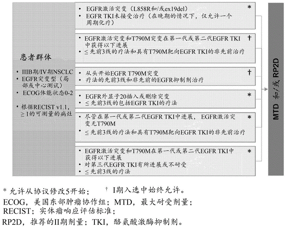 用于在CNS转移治疗中使用的纳扎替尼的制作方法