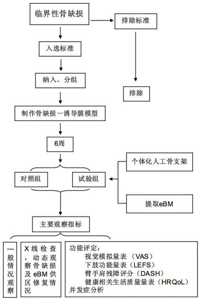 一种强化骨髓复合的个体化人工骨支架、构建方法及其应用与流程