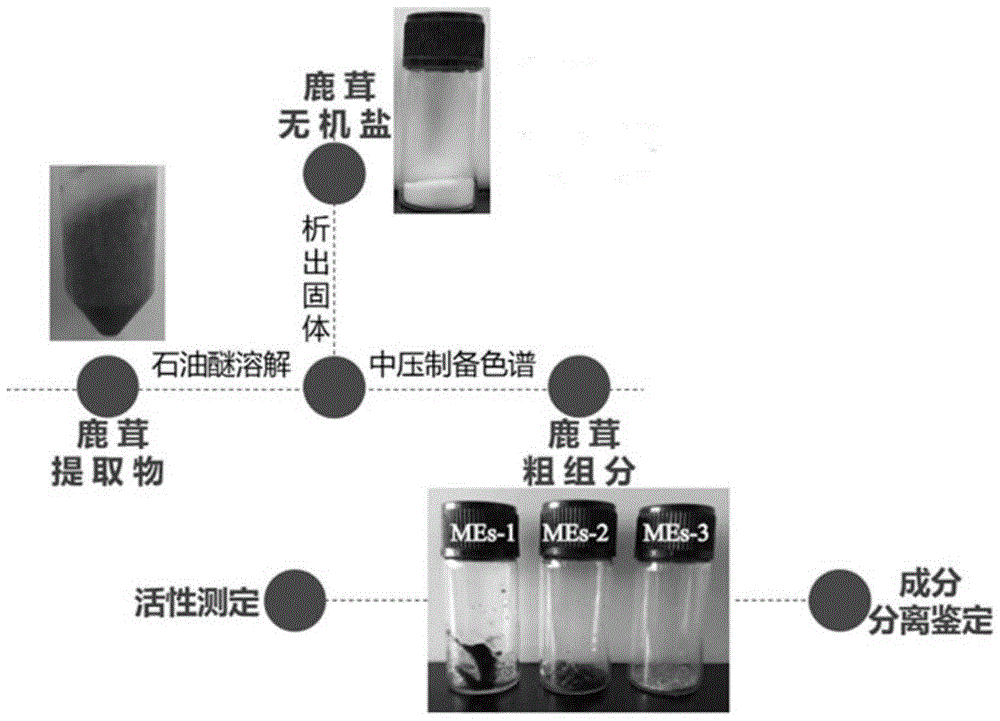 一种鹿茸醇提取物的制备方法及其应用与流程