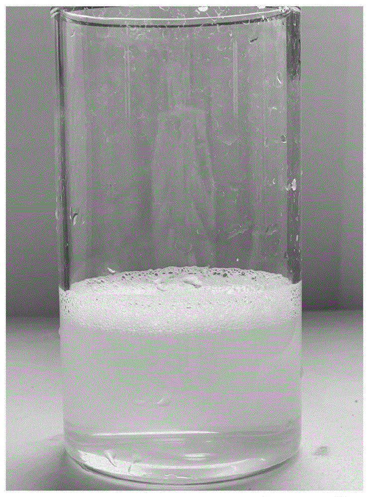 一种具有高起泡性的可溶性大豆膳食纤维制备方法与流程