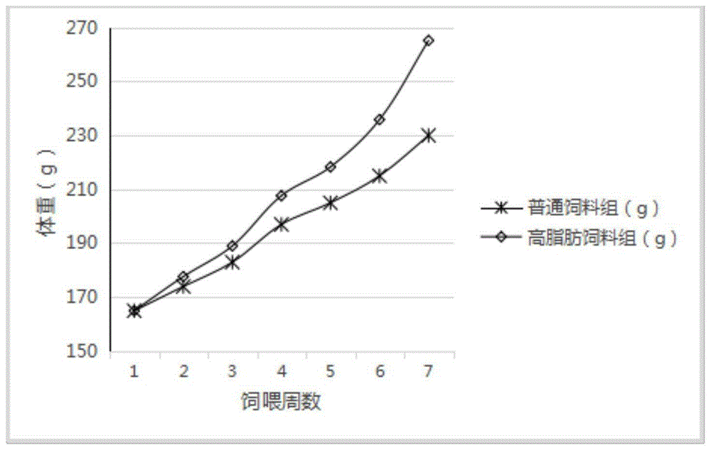 一种具有减肥作用的蜂王胎组合物及其制备方法与流程