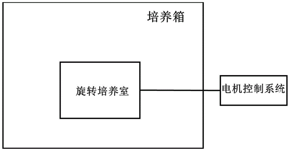 一种用于造血干细胞体外培养的免疫隔离动态共培养生物反应器的制作方法