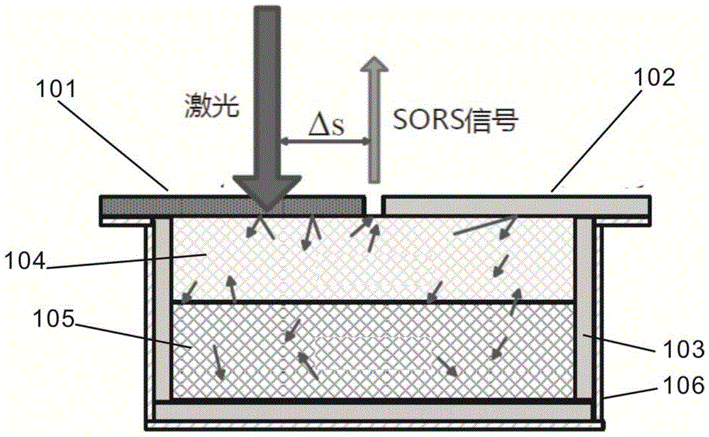 一种拉曼光谱信号增强结构及采用该结构的探测系统光路的制作方法