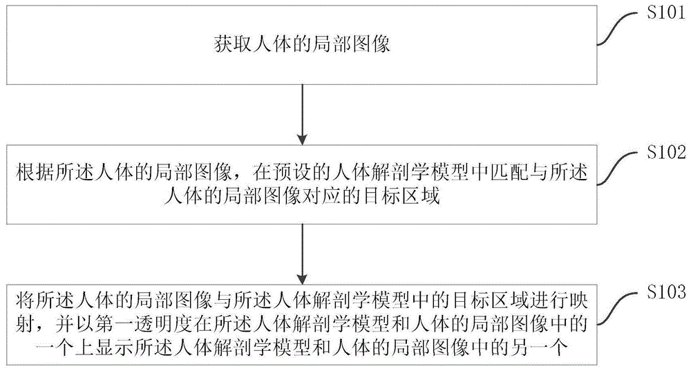 医学辅助图像的处理方法、装置、电子设备及存储介质与流程