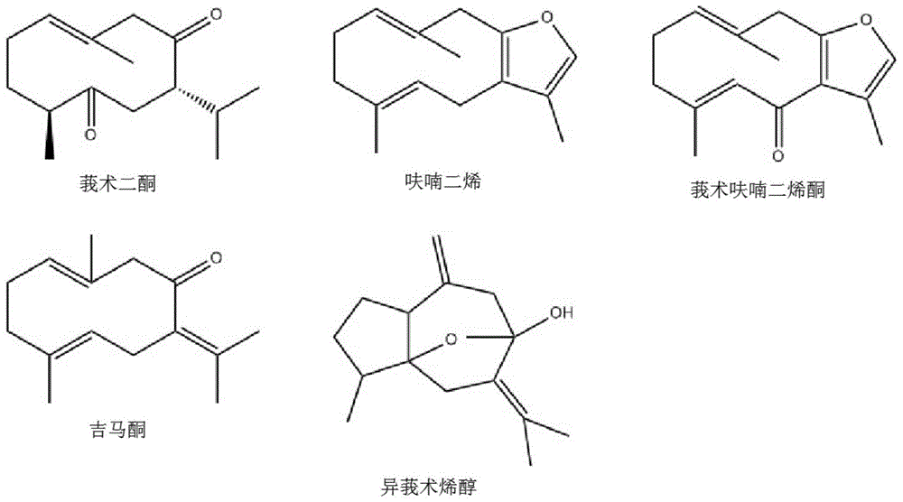 一种郁金的微提取方法与流程