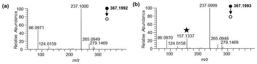 一种直接质谱鉴定含氨基代谢物同分异构体的方法及其应用与流程
