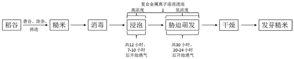 一种双重胁迫萌发制备发芽糙米的方法与流程