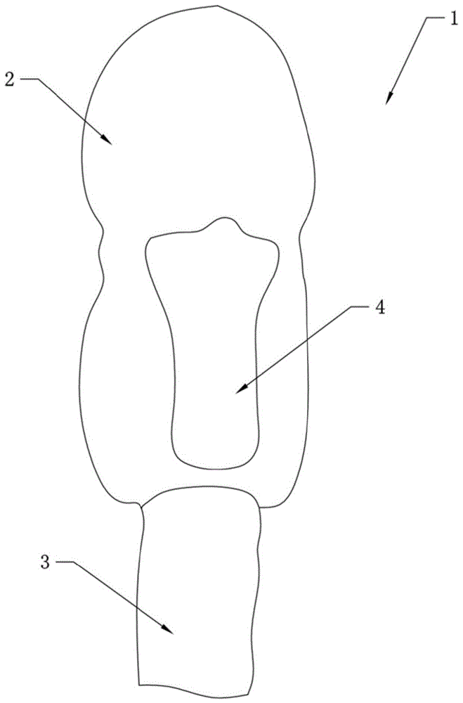 一种犬膀胱穿刺模型的制作方法