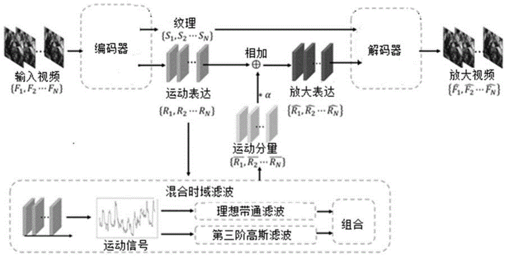 一种医疗机器人手术视频运动放大方法与流程