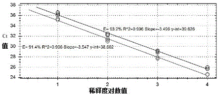 一种联合检测非洲猪瘟病毒和猪伪狂犬病病毒野毒株的引物和探针、试剂盒及应用的制作方法