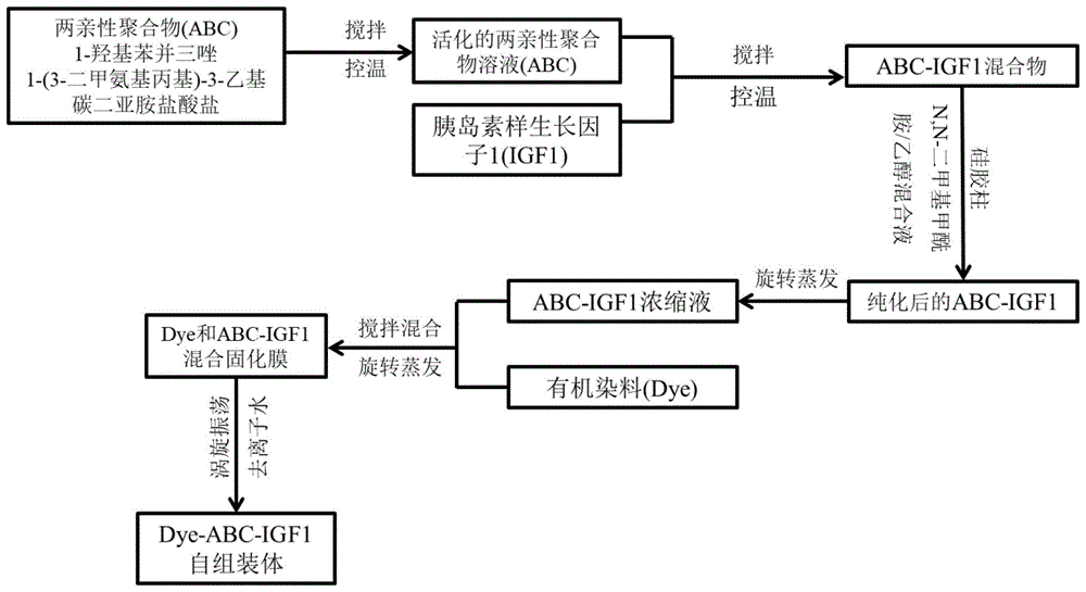 一种纳米自组装体及其制备方法与应用与流程