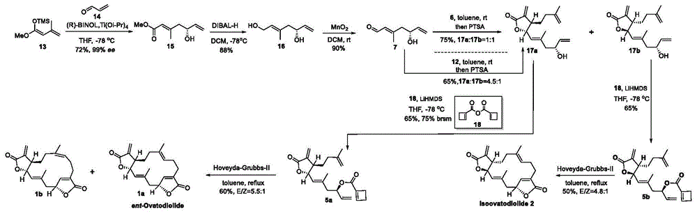 一种天然产物Ovatodiolides的合成方法与流程