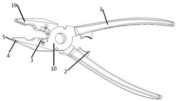 钳口有刃,多用来起钉子或夹断钉子和铁丝,现有技术中的老虎钳结构单一