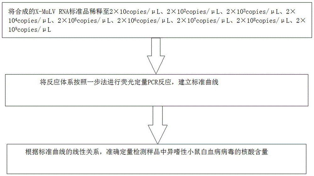 一种检测生物制品中异嗜性小鼠白血病病毒的方法与流程