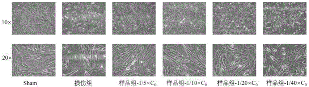 一种具有抗衰功能的羊胎盘提取液及其制备方法和应用与流程