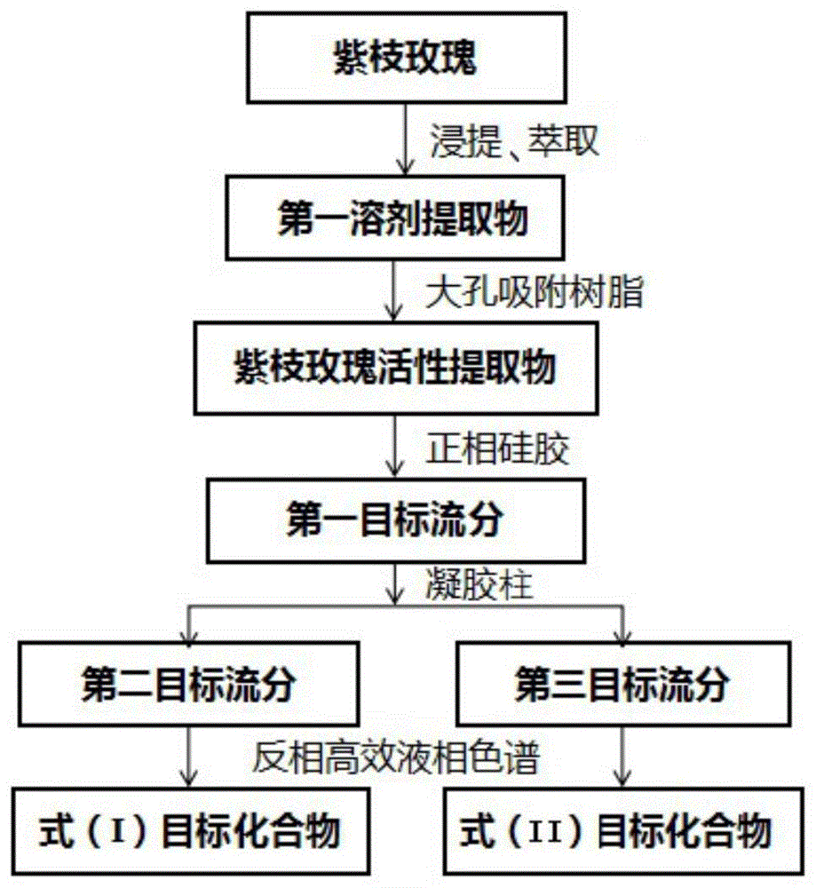 黄酮苷类化合物、紫枝玫瑰活性提取物及制备方法和应用与流程