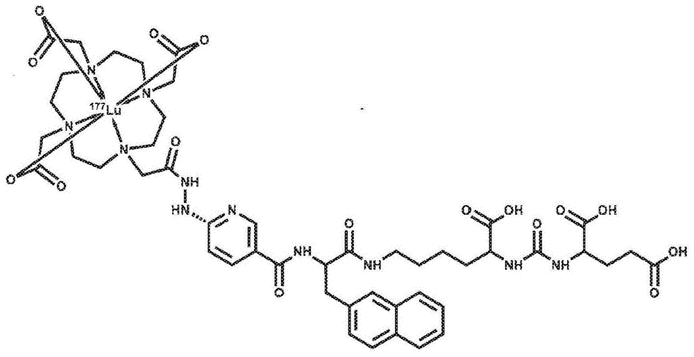 作为靶向前列腺特异性膜抗原的治疗性放射性药物的177Lu-DOTA-HYNIC-iPSMA的制作方法