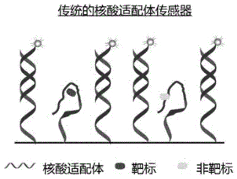 一种倏逝波核酸适配体传感器及应用其进行小分子检测的方法与流程