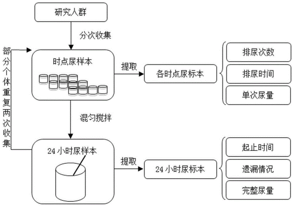 一种儿童青少年24小时尿钠排出量的测定方法与测定装置与流程