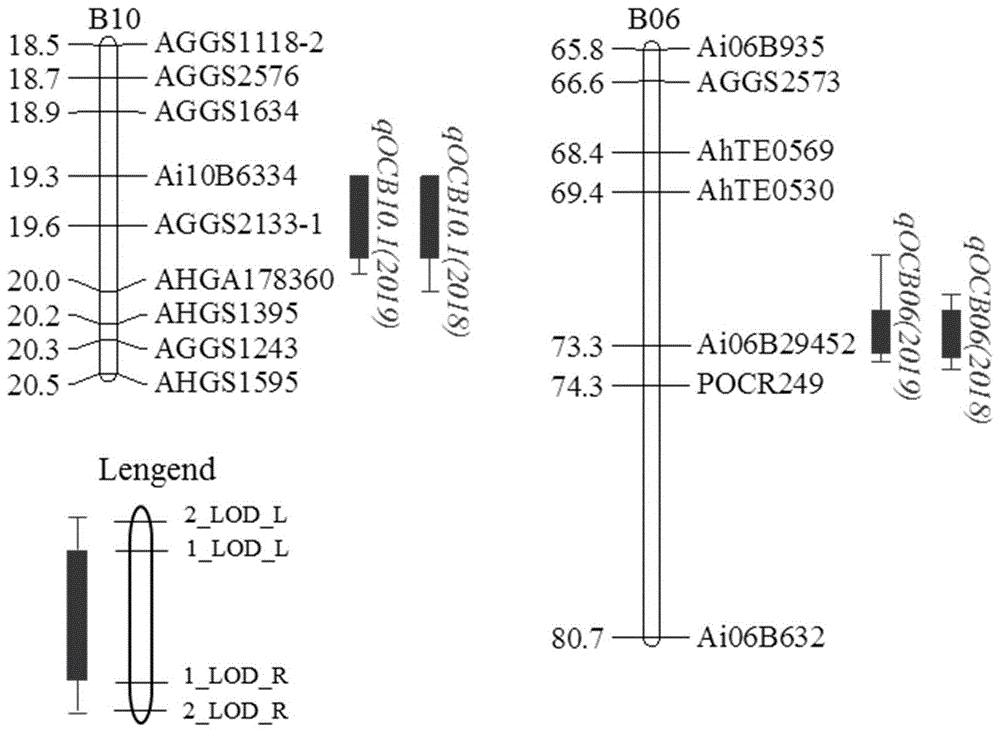 与花生含油量主效QTL位点连锁的分子标记及其应用的制作方法