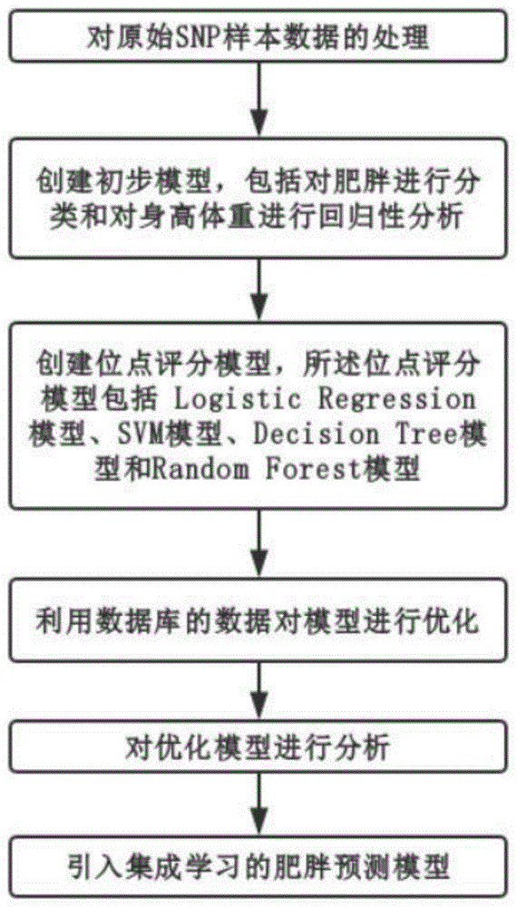 一种基于测序和数据分析的肥胖风险预测装置及其预测方法与流程