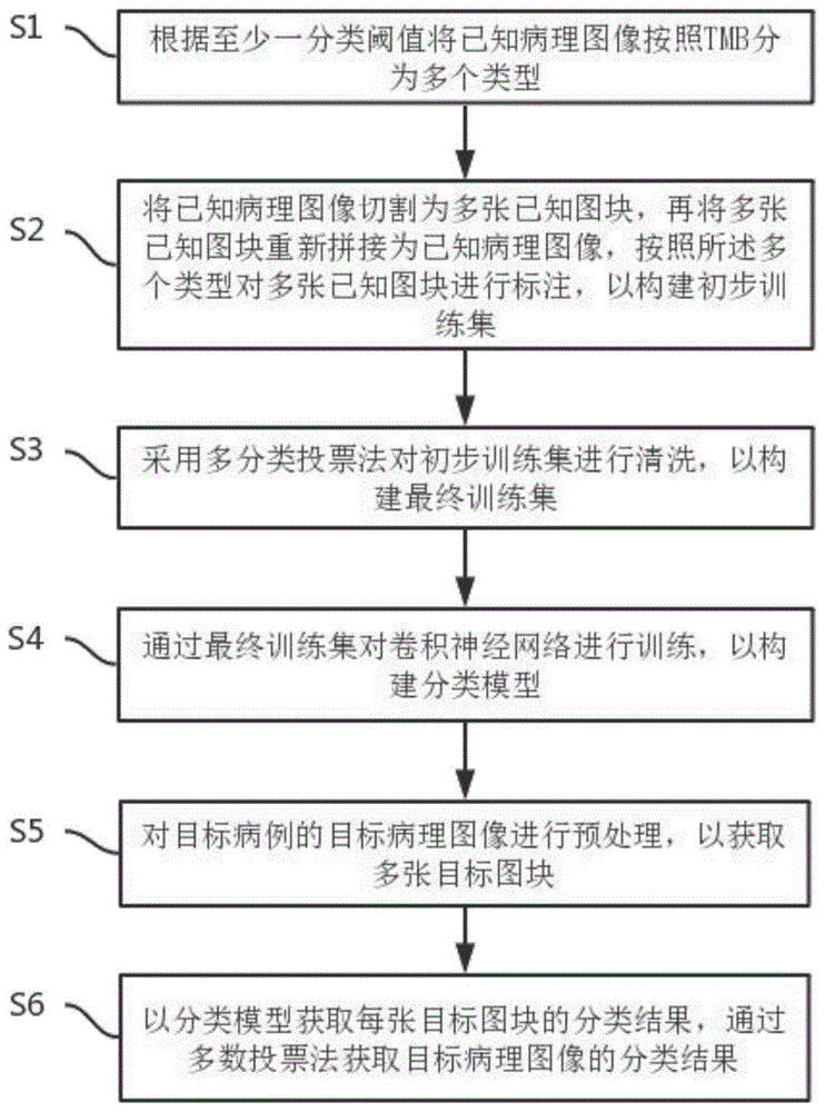 基于病理图像的肿瘤突变负荷(TMB)分类方法与系统与流程