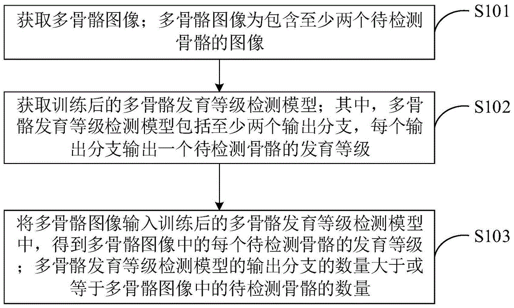 多骨骼发育等级检测方法及终端设备与流程