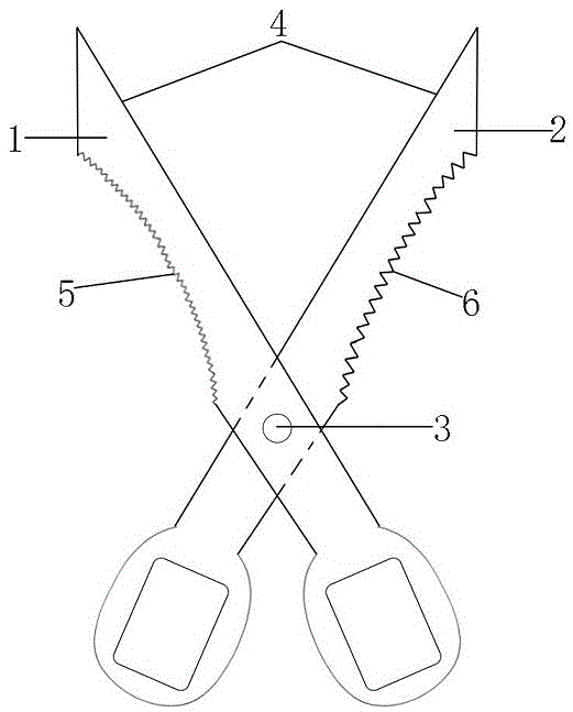 一种具有多种刮鳞功能的多功能剪刀的制作方法