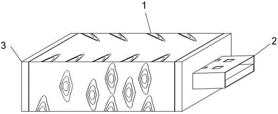 一种木质外壳U盘的制作方法