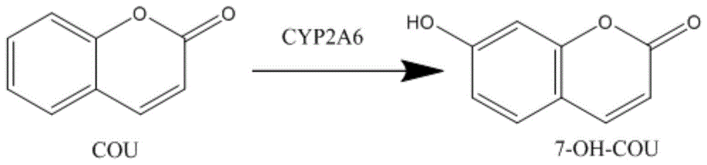 测定蚯蚓体内CYP2A6、CYP2B6、CYP2C8及CYP2D6酶活力的方法与流程