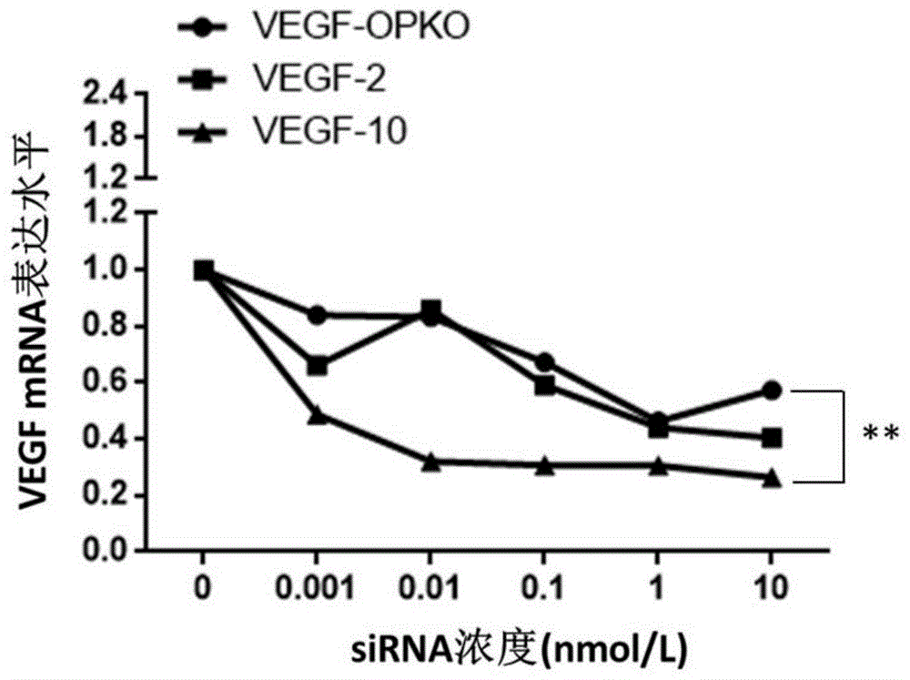siRNA修饰物及其在抑制血管新生中的应用的制作方法