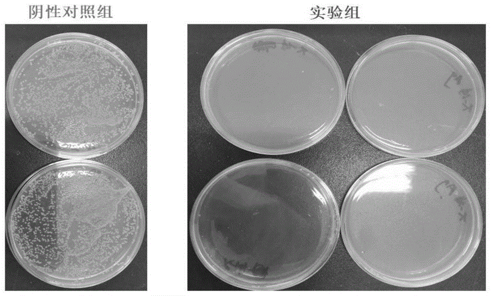 一种畜禽养殖场所消毒用新型纳米消毒涂料及其应用的制作方法