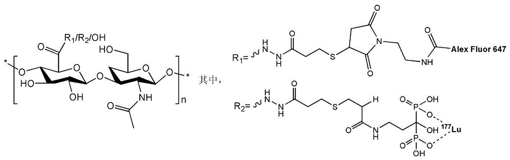 一种荧光和镥-177双标记生物分子及其制备方法与应用与流程