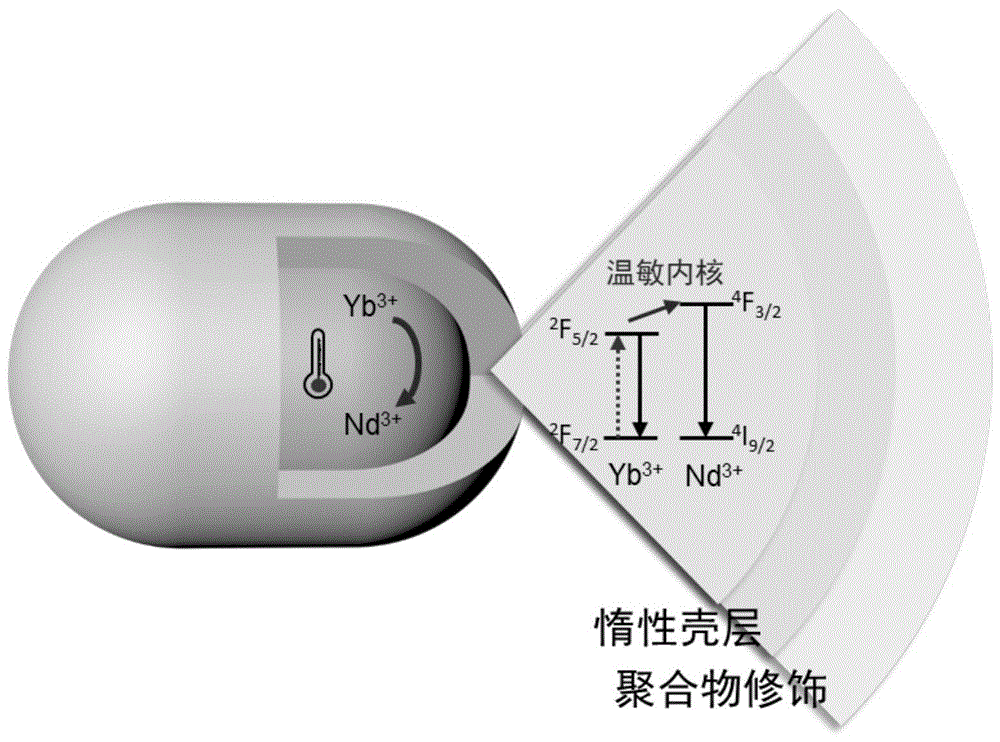 一种基于稀土发光寿命温度探针的测温方法与流程