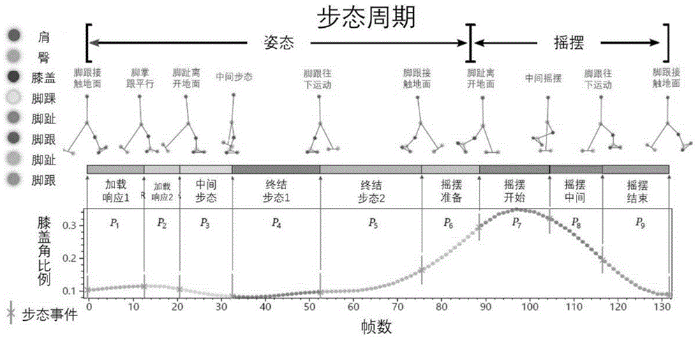 一种基于直接特征提取的多通道时序步态分析算法的制作方法