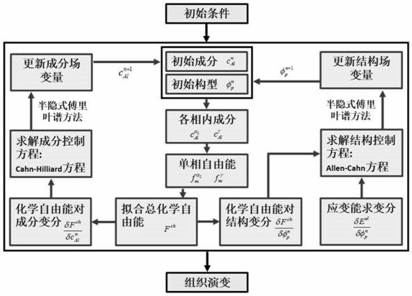 一种预测γ-TiAl中不同γ/γ界面类型出现比例的相场模拟方法与流程