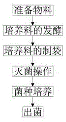 一种新型菌菇培养方法与流程