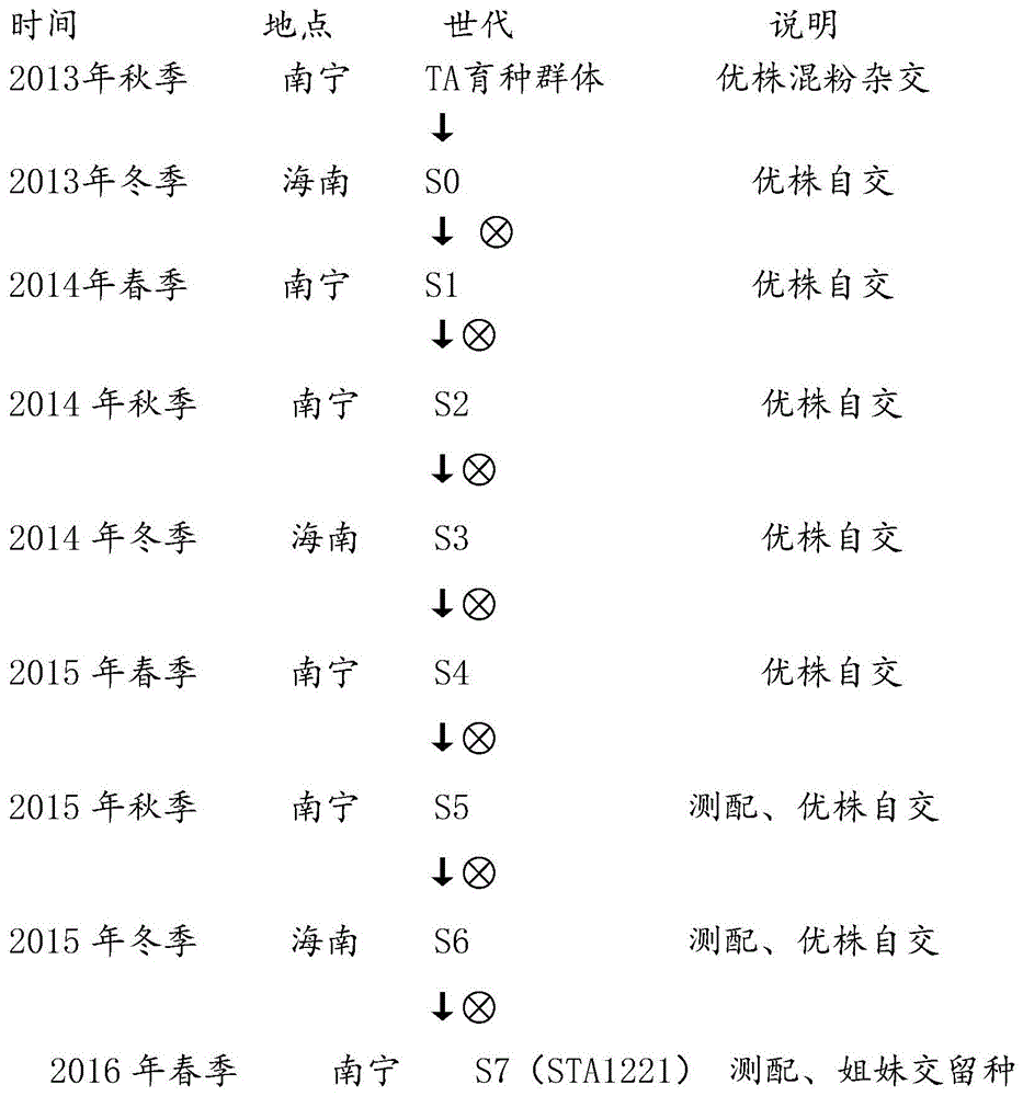 一种一年三季超甜玉米的育种方法与流程