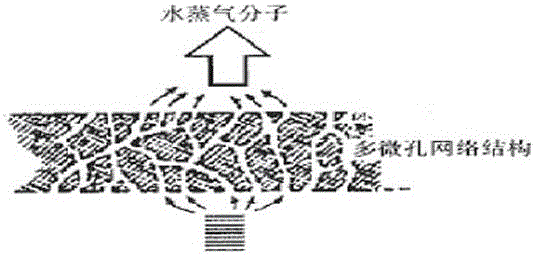 一种可降解透气膜及其制备方法与流程