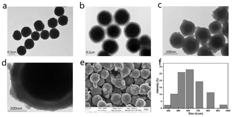 基于Fe3O4@SiO2@TiO2纳米粒子富集和PSMA传感器检测前列腺癌外泌体的方法与流程