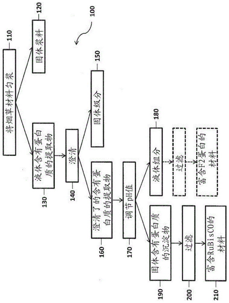 富含蛋白质的烟草衍生组合物的制作方法