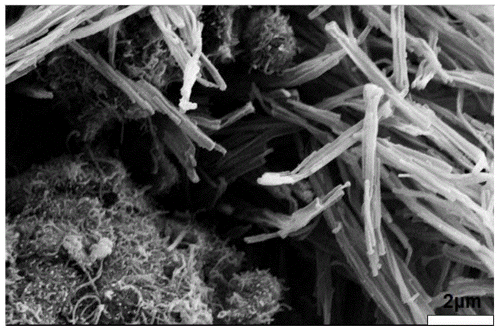 二茂铁修饰的多壁碳纳米管-聚吡咯纳米管吸波材料及其制备方法与流程