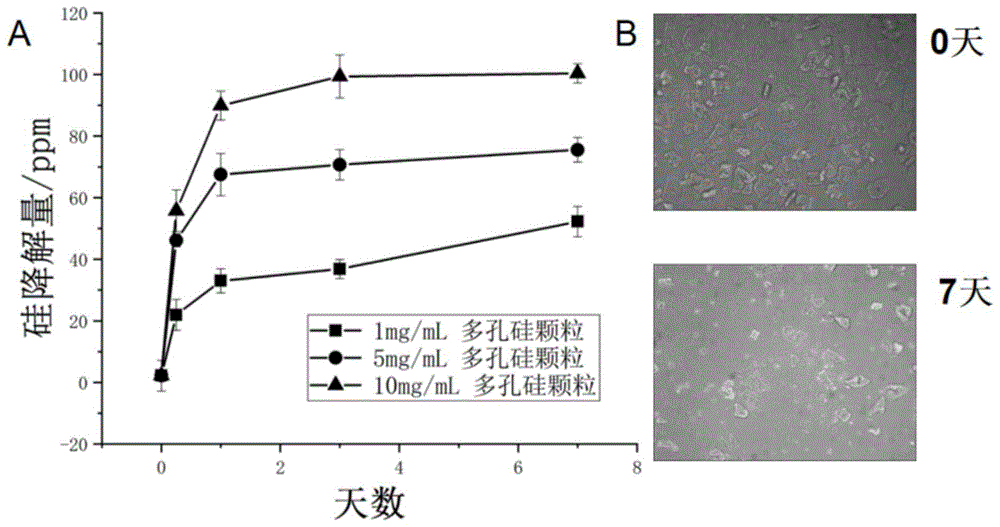 一种可生物降解的多孔硅颗粒及其在促血管化方面的用途的制作方法