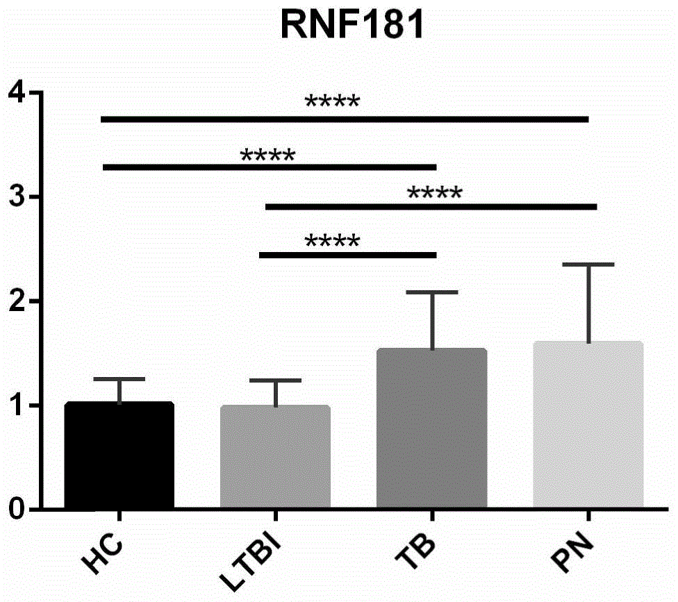 RNF181作为结核病诊断分子标识的用途的制作方法