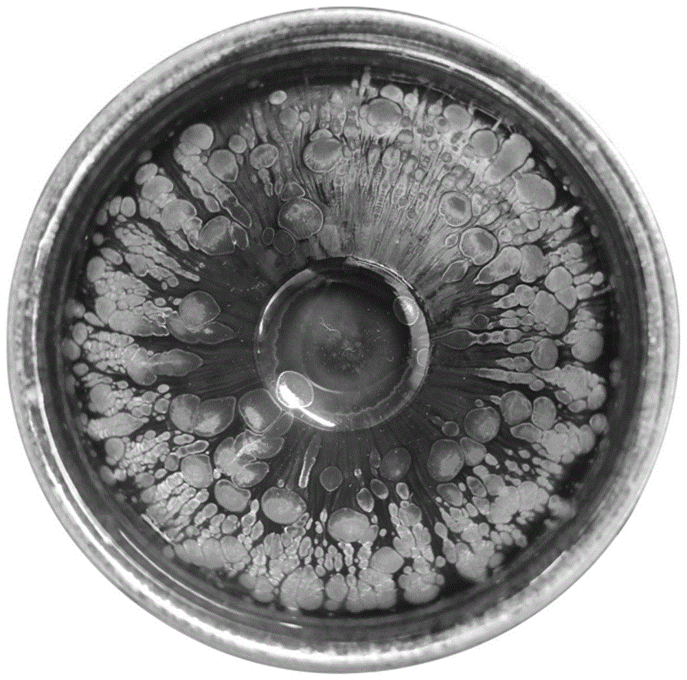 彩金油滴建盏烧制工艺的制作方法