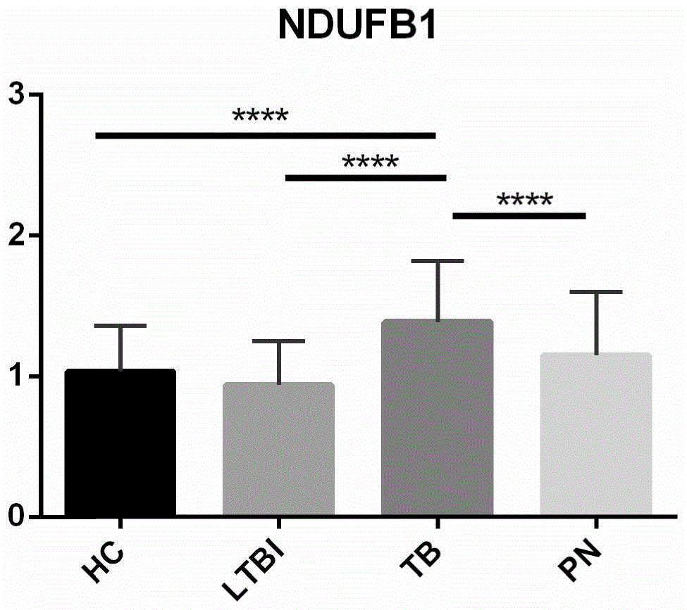NDUFB1作为结核病诊断分子标识的用途的制作方法