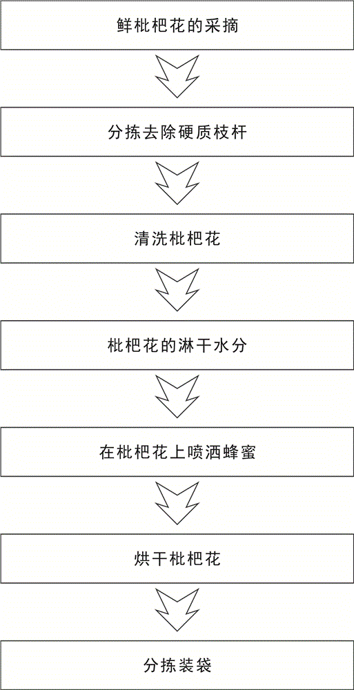 一种枇杷花的采摘加工方法与流程