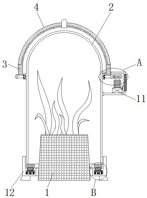 一种防鸟啄的珍稀植物幼苗保护装置的制作方法