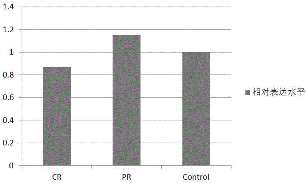 PRR34-AS1作为新型分子标志物及其定量检测方法和应用与流程